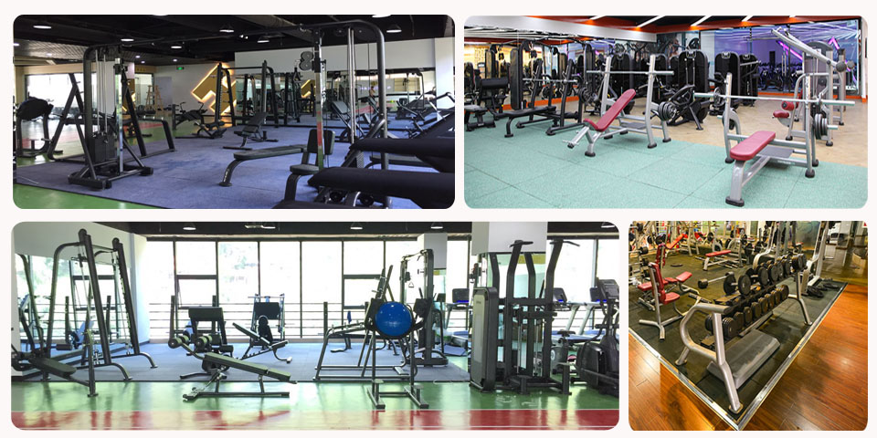 Z6.COM-尊龙集团自由力量器械