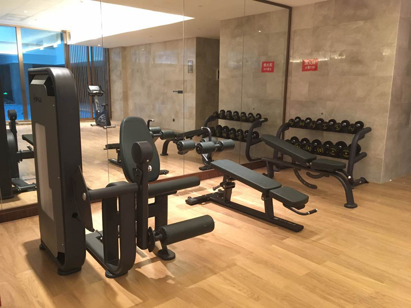 酒店健身房器材,室内健身器材,高端商用健身器材-广西Z6.COM-尊龙集团体育健身器材有限公司