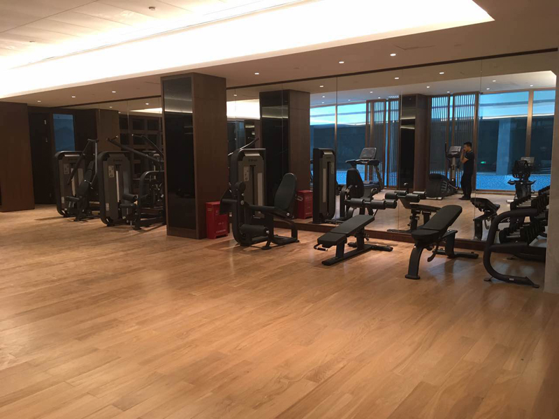 酒店健身房器材,室内健身器材,高端商用健身器材-广西Z6.COM-尊龙集团体育健身器材有限公司