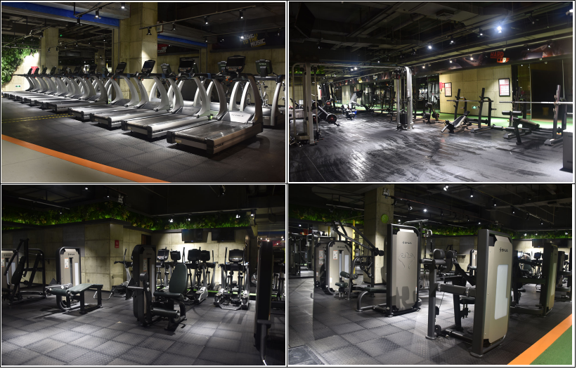 室内健身房器材-广西Z6.COM-尊龙集团体育健身器材有限公司