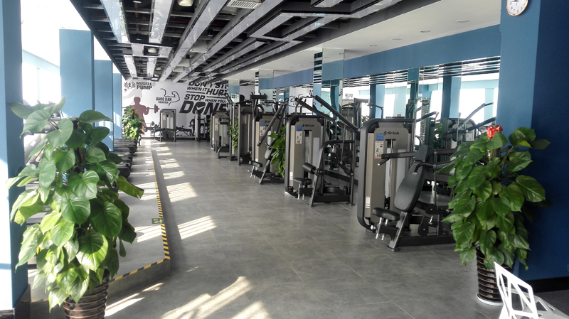 酒店健身房器材,高端健身房器材,室内健身器材-广西Z6.COM-尊龙集团体育健身器材有限公司