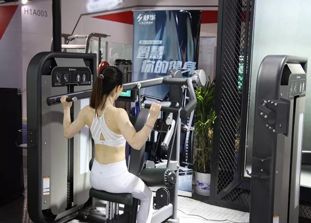 健身器材 健身器材