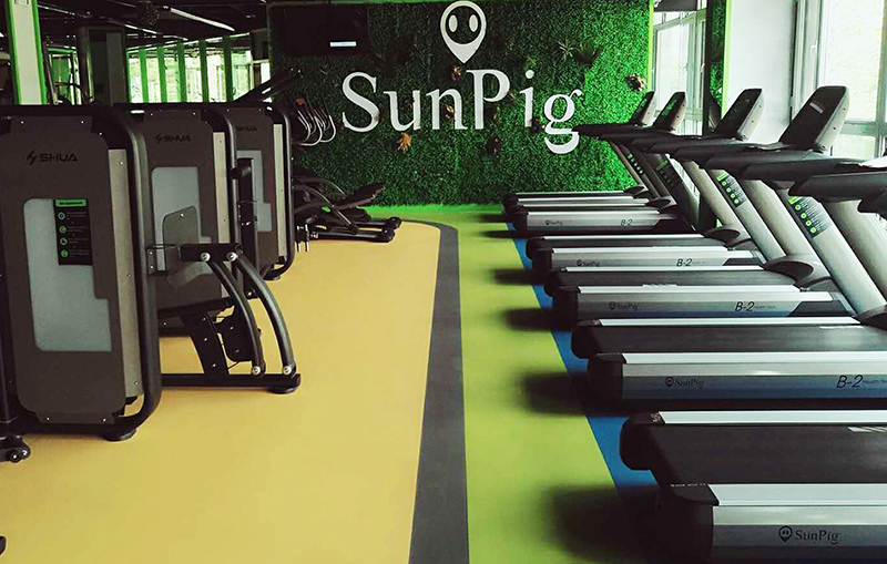 Z6.COM-尊龙集团智能健身器材