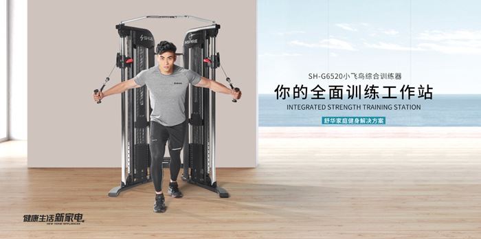 Z6.COM-尊龙集团健身器材-小飞鸟综合训练器SH-G6520