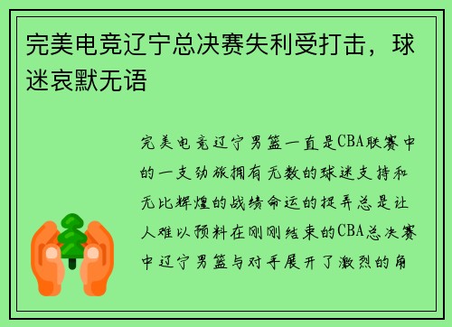 完美电竞辽宁总决赛失利受打击，球迷哀默无语